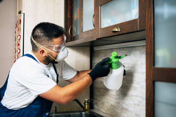 Best Best Pest Control Companies  in Auburn, IL