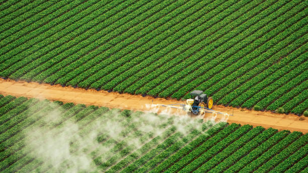 Best Commercial Pest Control Services  in Auburn, IL
